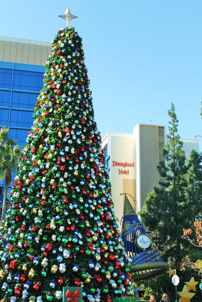 The happiest Christmas trees on Earth! 